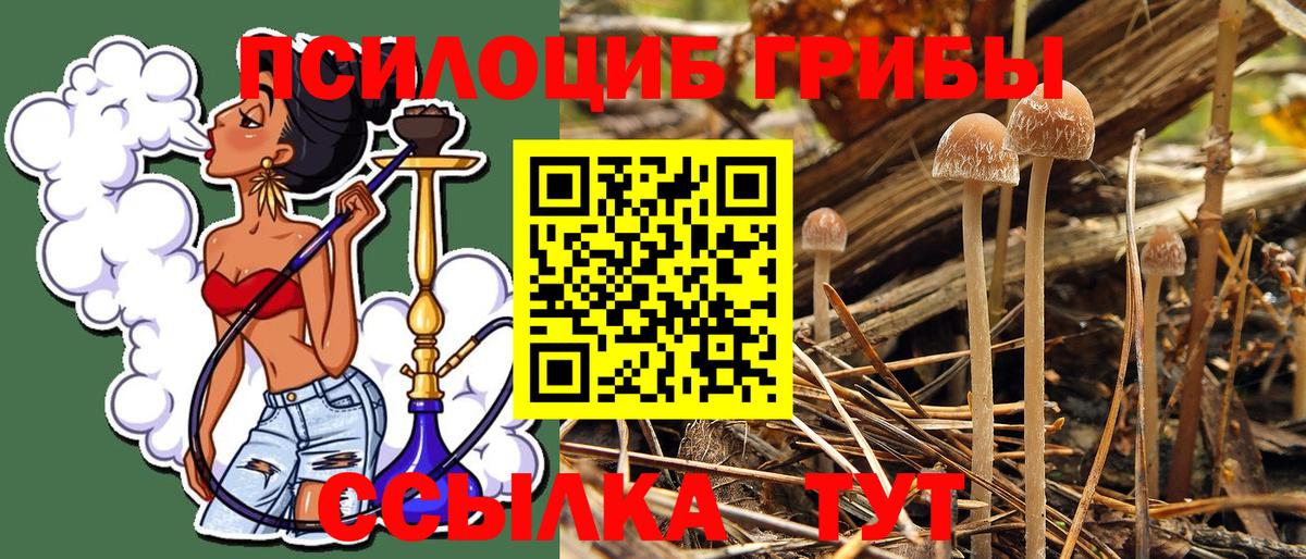 Усинск  Галлюциногенные грибы Magic Shrooms  Галлюциногенные грибы GOLDEN TEACHER  Вход с VPN 